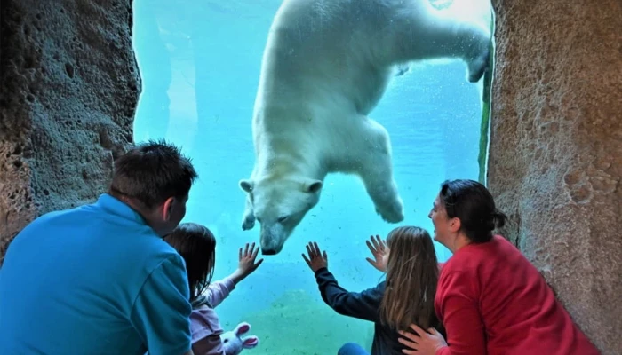 Zoo am Meer in Bremerhaven image 1