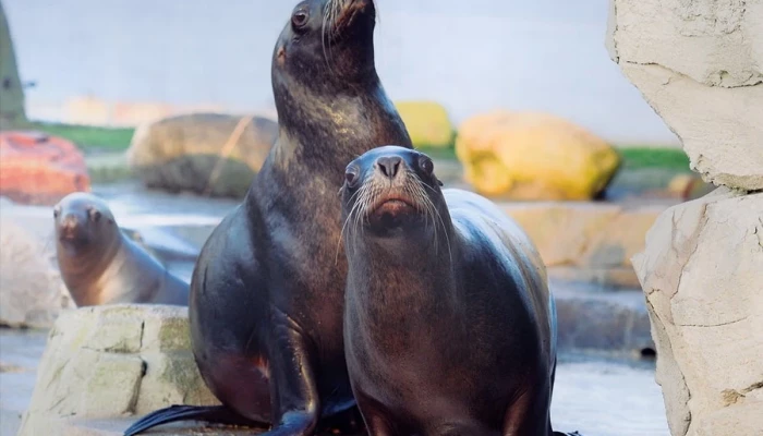 Zoo am Meer in Bremerhaven image 2